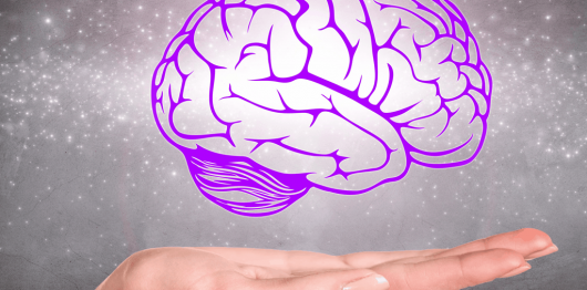 Brain-above-Hand-Web-Op-1024x801